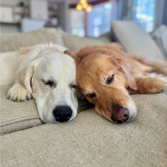 Meet your Posher, Jessica - Picture 3 of 3